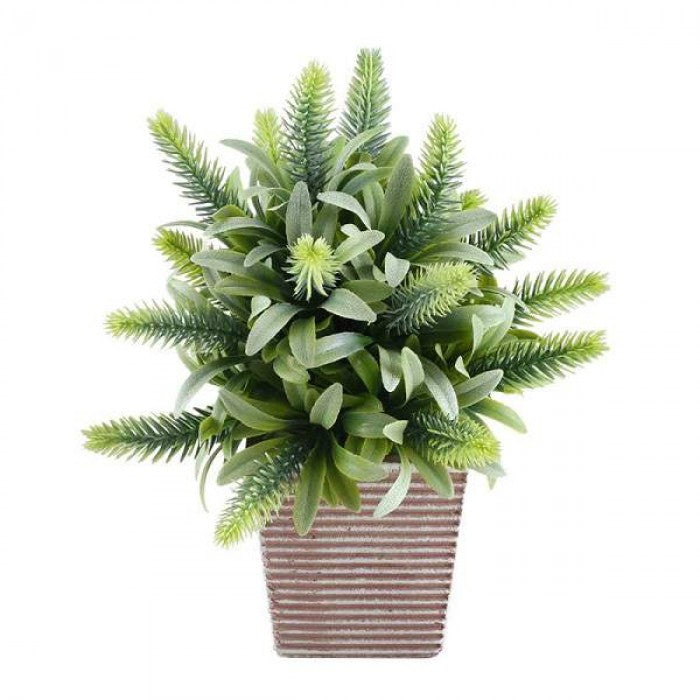 Decoration Pots for Indoor Plants