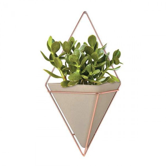 Decoration Pots for Indoor Plants Decoration Pots for Indoor Plants