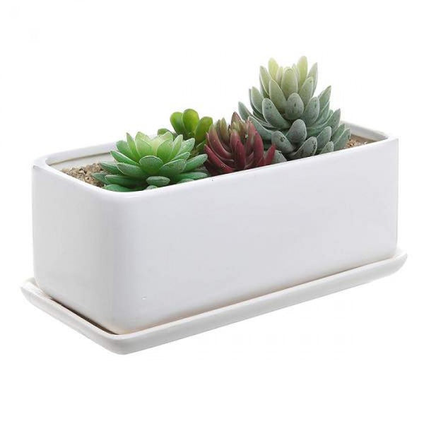 Quality Trays for Indoor Plants